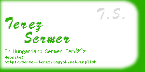 terez sermer business card